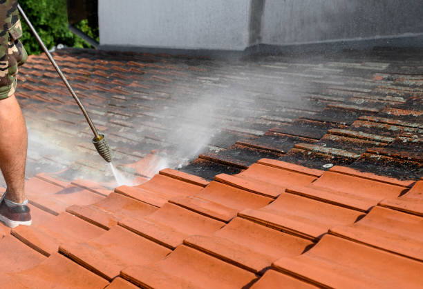 Best House Pressure Washing  in Uhrichsville, OH